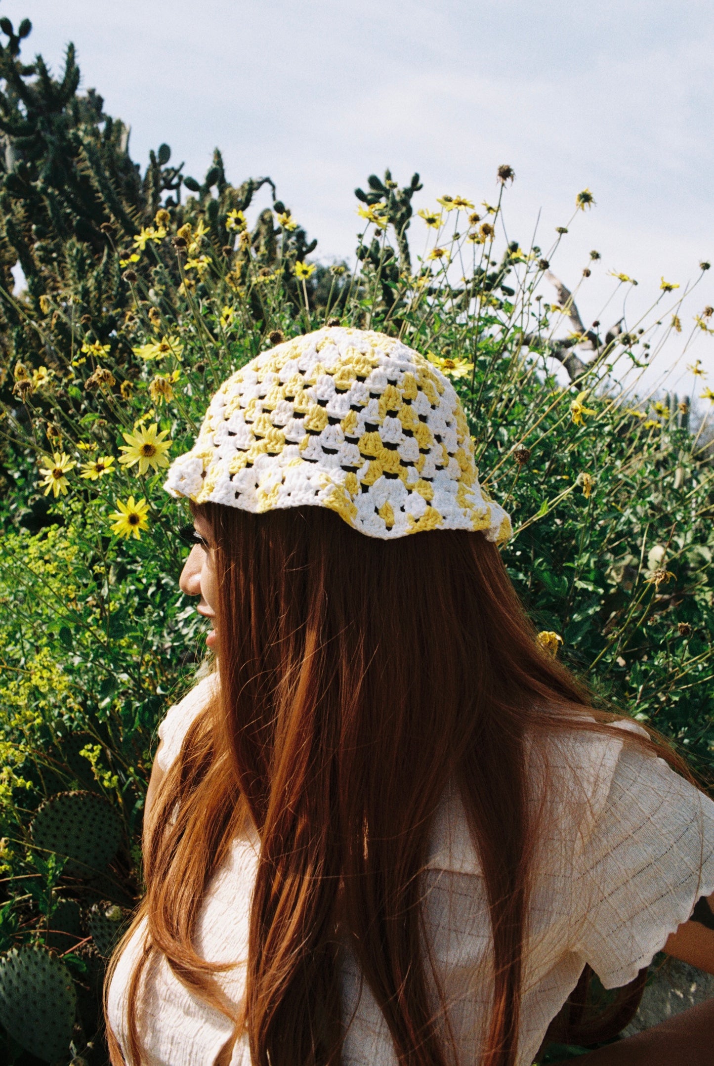 Daisy